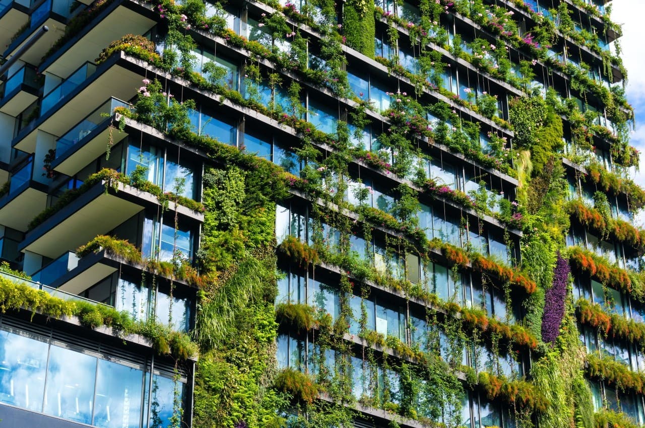 Lee más sobre el artículo ¿Cómo identificar una vivienda verde?