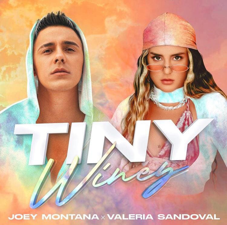 Lee más sobre el artículo El panameño Joey Montana lanza “Tiny Winey” con la participación de Valeria Sandoval