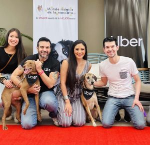 Lee más sobre el artículo Uber Pet: la nueva alternativa de movilidad para mascotas en Ecuador, ¿Cómo funciona?