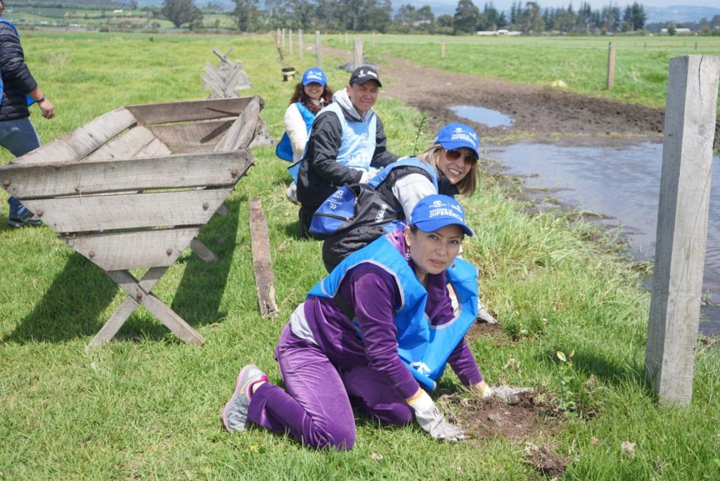 Colaboradores de Arca Continental en el voluntariado de reforestación. (Foto Cortesía)