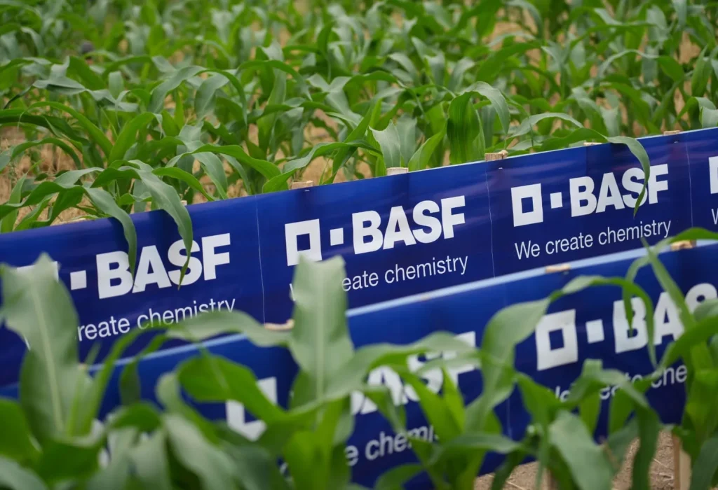 BASF Soluciones