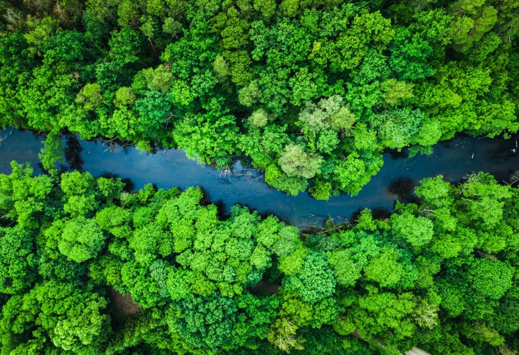 Las empresas ecuatorianas Holidays Travel y EcuaCorriente comprometidas a contribuir con la reducción de emisiones de CO2, reafirmaron su apuesta por el programa corporativo SAF (Sustainable Aviation Fuel) de Air France-KLM