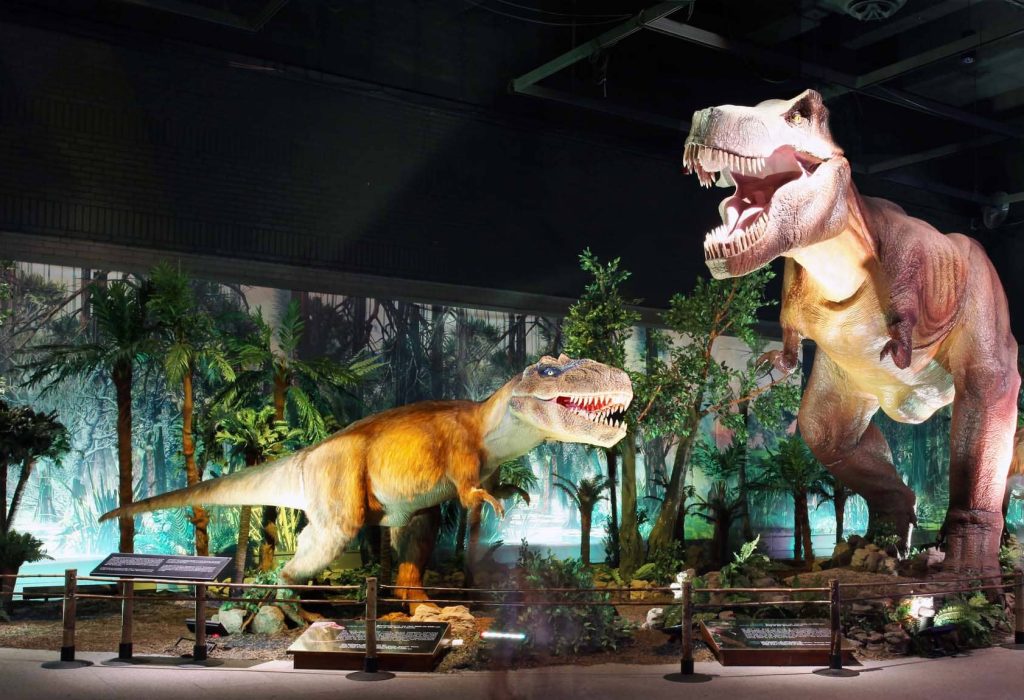 Desde el jueves 1 al sábado 6 de junio, los Dinosaurios estarán sueltos en CityMall. (Foto Cortesía)