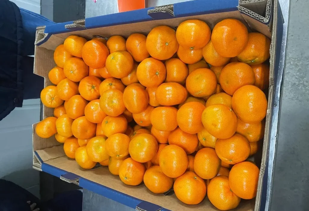 Ecuador exporta a Estados Unidos 23.430 kilogramos de mandarina