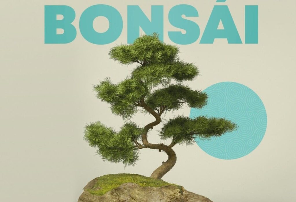 Expo Bonsai en Village