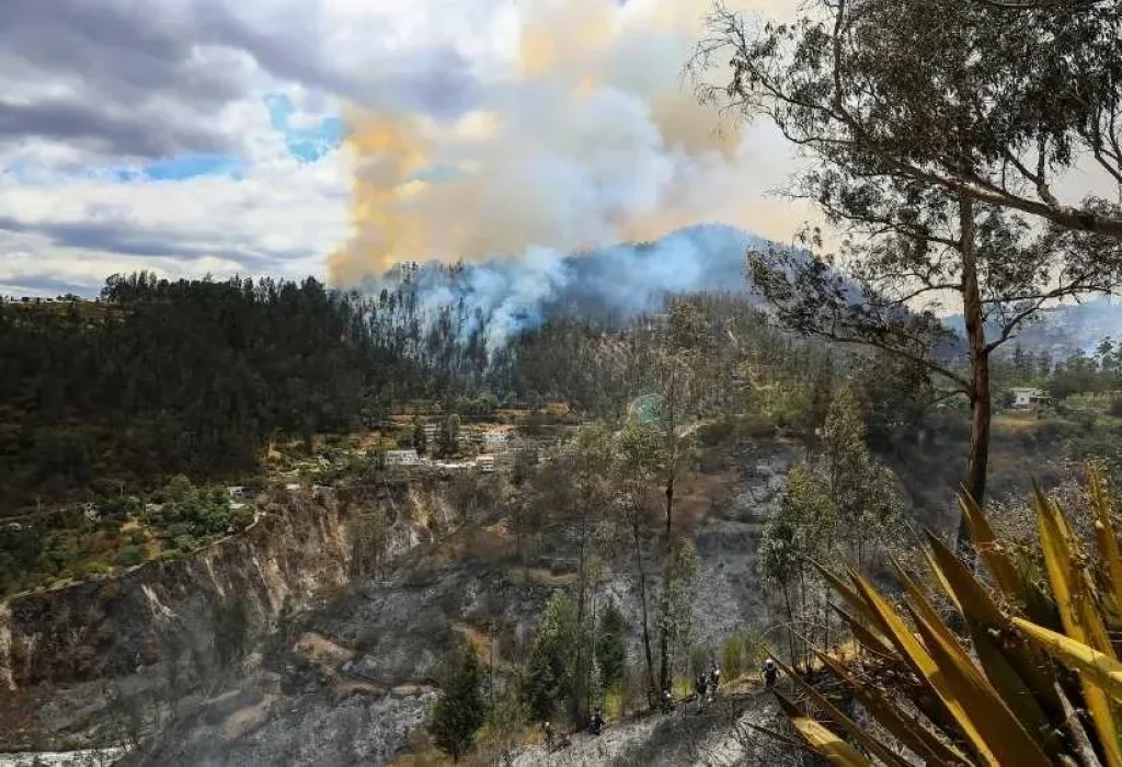 INCENDIOS