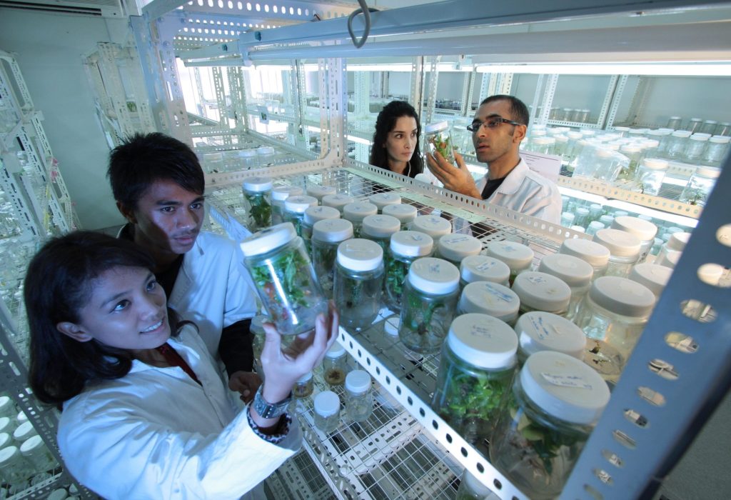 A través de un servicio digital, los agricultores podrán hacer seguimiento de sus cultivos de principio a fin, lo que les permitirá no solo tomar decisiones en tiempo real sino preservar la salud del suelo y el medio ambiente a través de la aplicación eficiente de nutrientes. (Foto Cortesía)