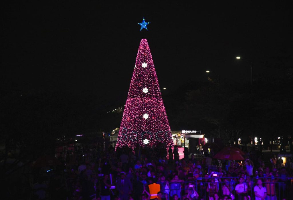 Navidad - Samanes