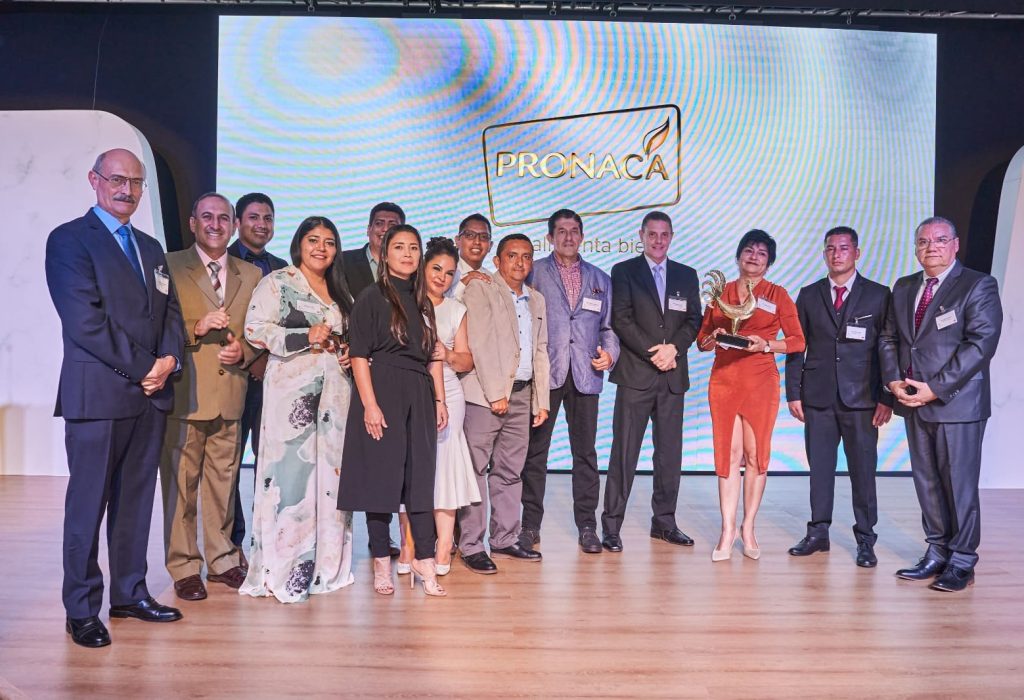 Pronaca - Gallo de oro