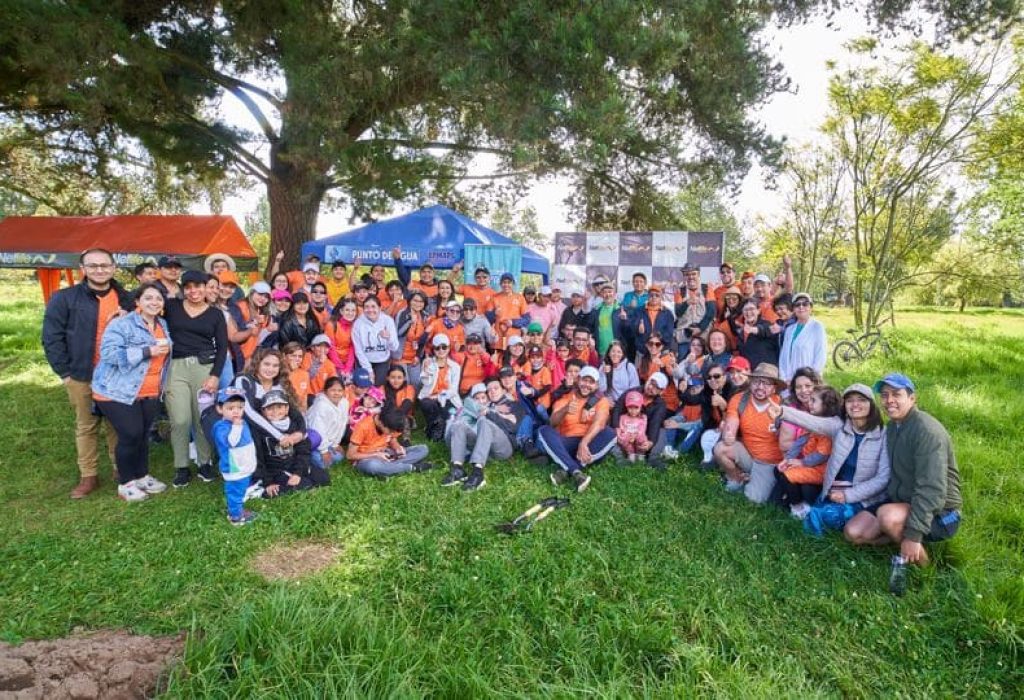 Reforestación Netlife