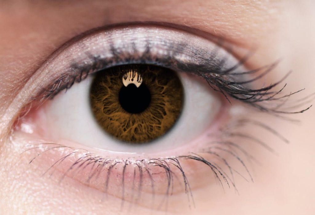 Retinitis Pigmentaria - Clínica Andes Visión