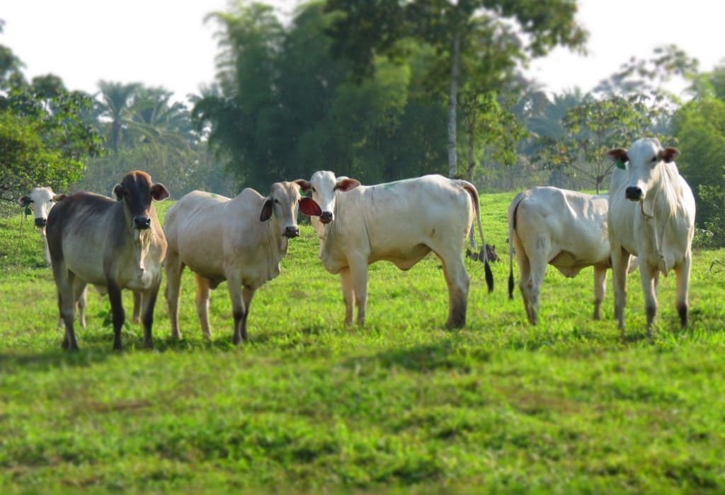 WhatsApp Image 2025-12-08 at 20.07.11 (1)