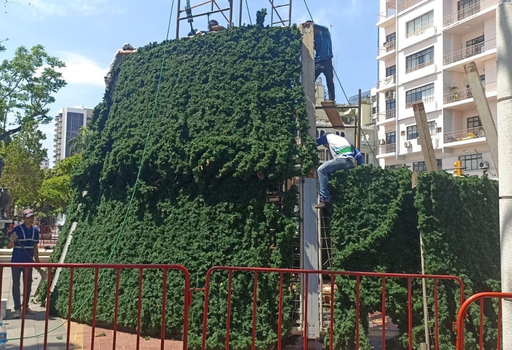El Árbol de la Ciudad, empezó esta semana su montaje. para el próximo miércoles 6 de diciembre. (Foto Cortesía)