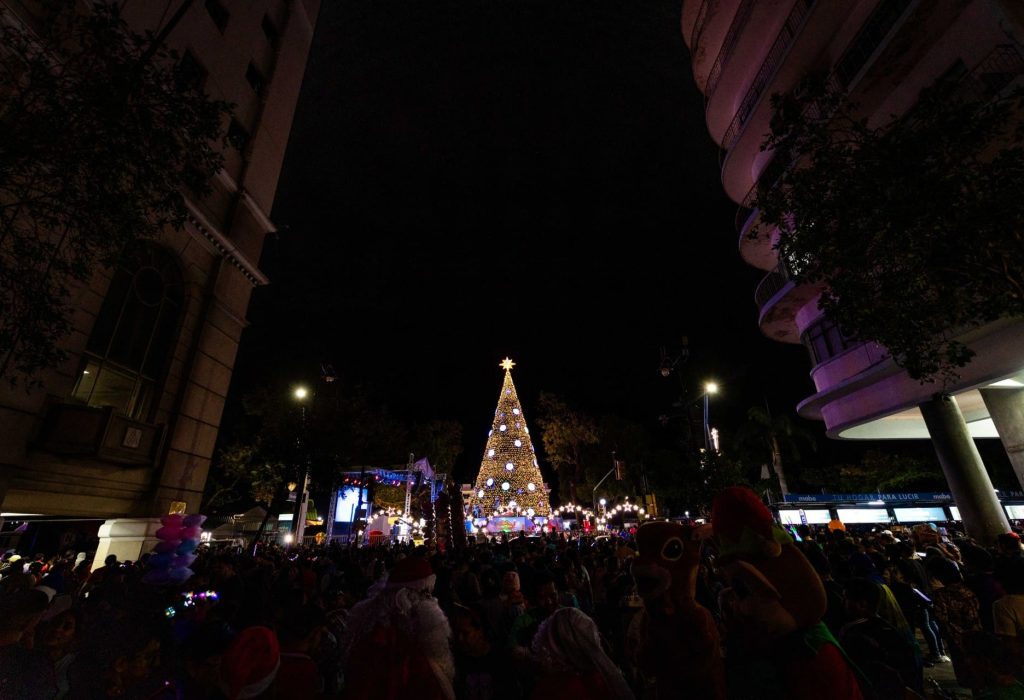 thumbnail_Arbol de la Ciudad (2) (1)
