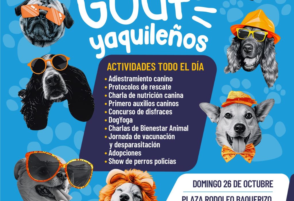 thumbnail_Post-GuafyaquilenÞo (1) (1)